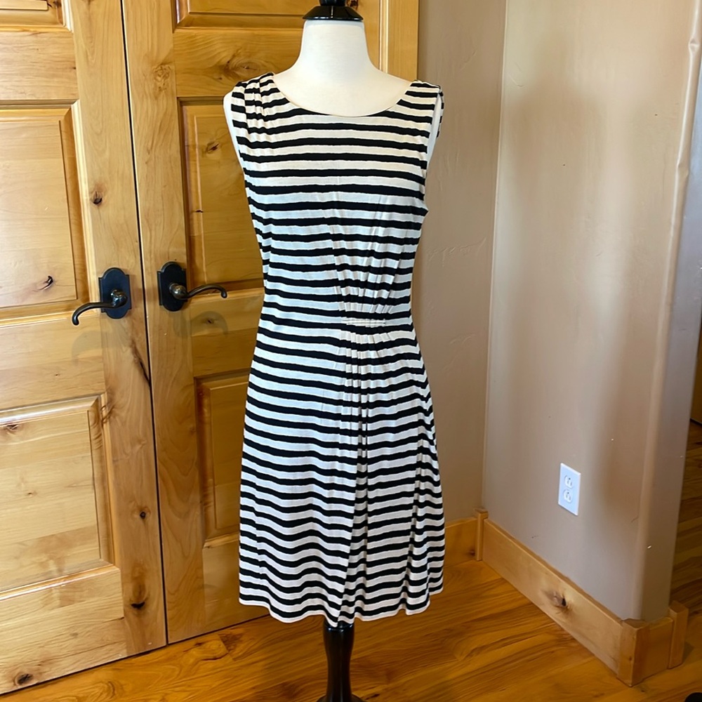 LOFT Dress - Medium